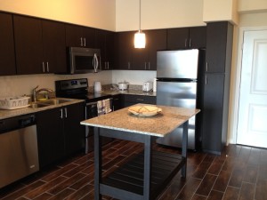 Modera Coral Gables Kitchen